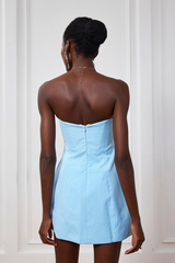 Natalia Strapless Rose Mini Dress